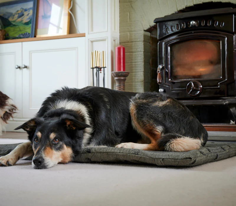 Sustainable Comfort for Every Home