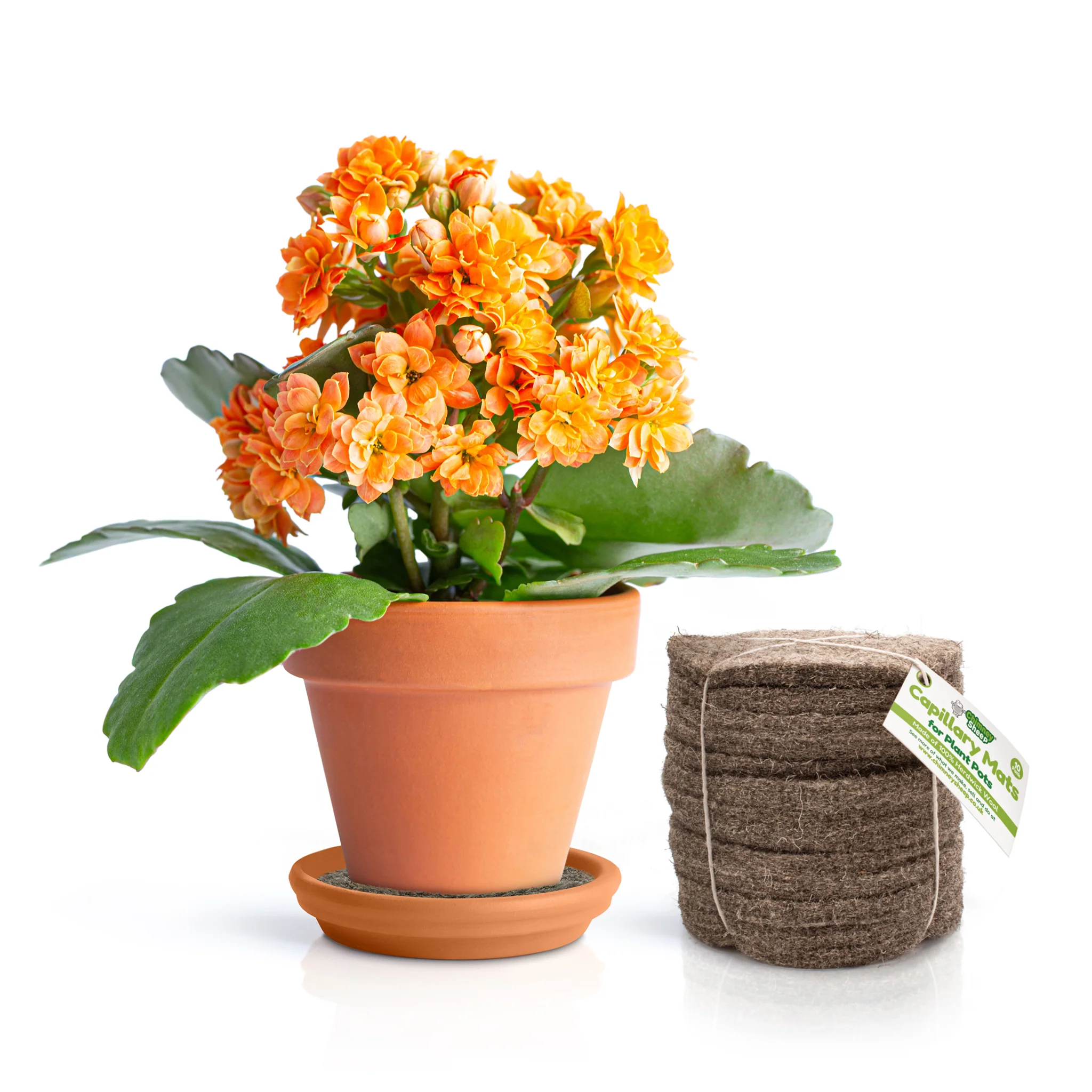 13cm Pure Wool Capillary Mats for Plant Pots - Pack of 10 - Image 3