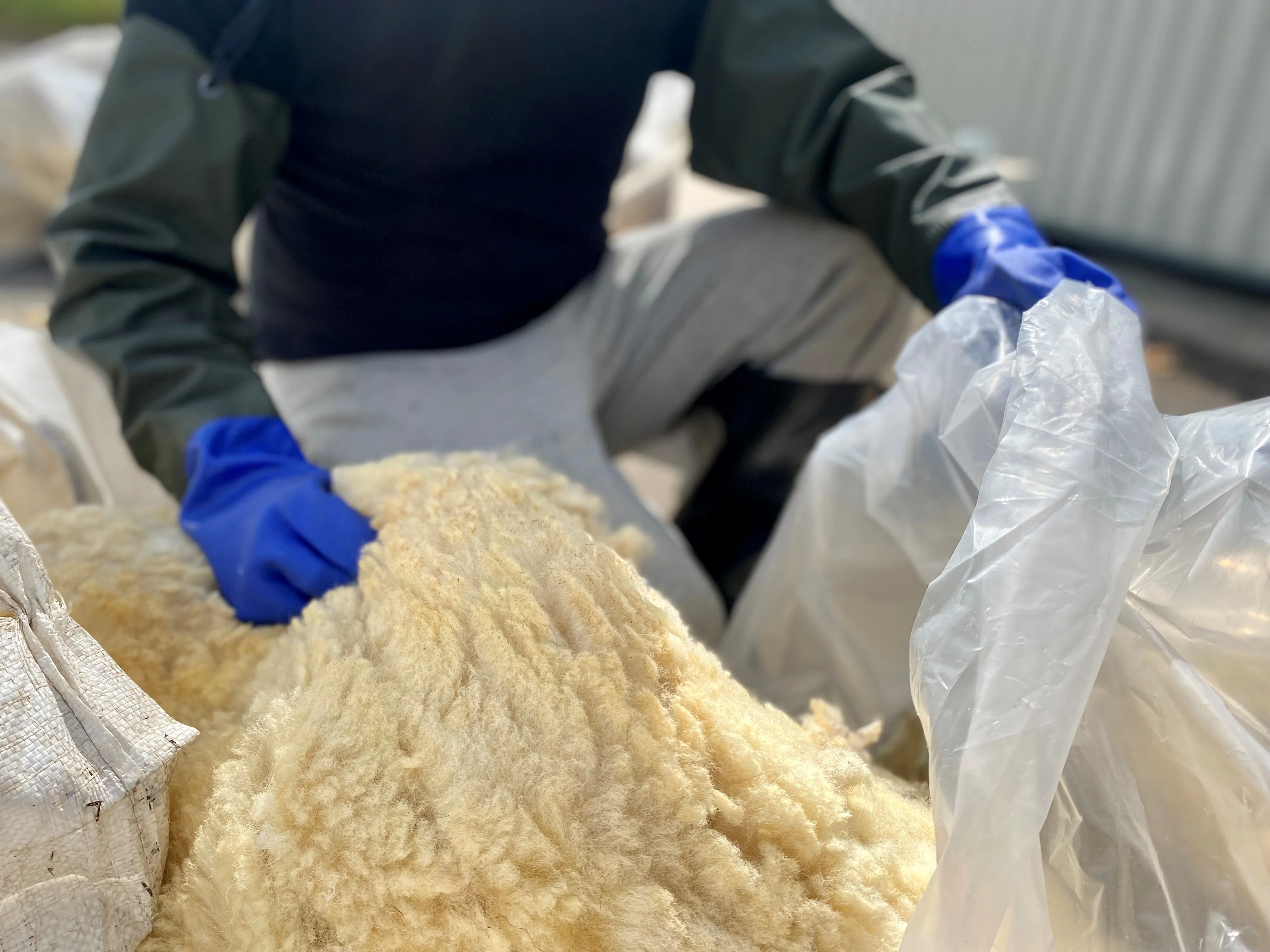 Raw Herdwick Sheep Wool 10kg - Image 5