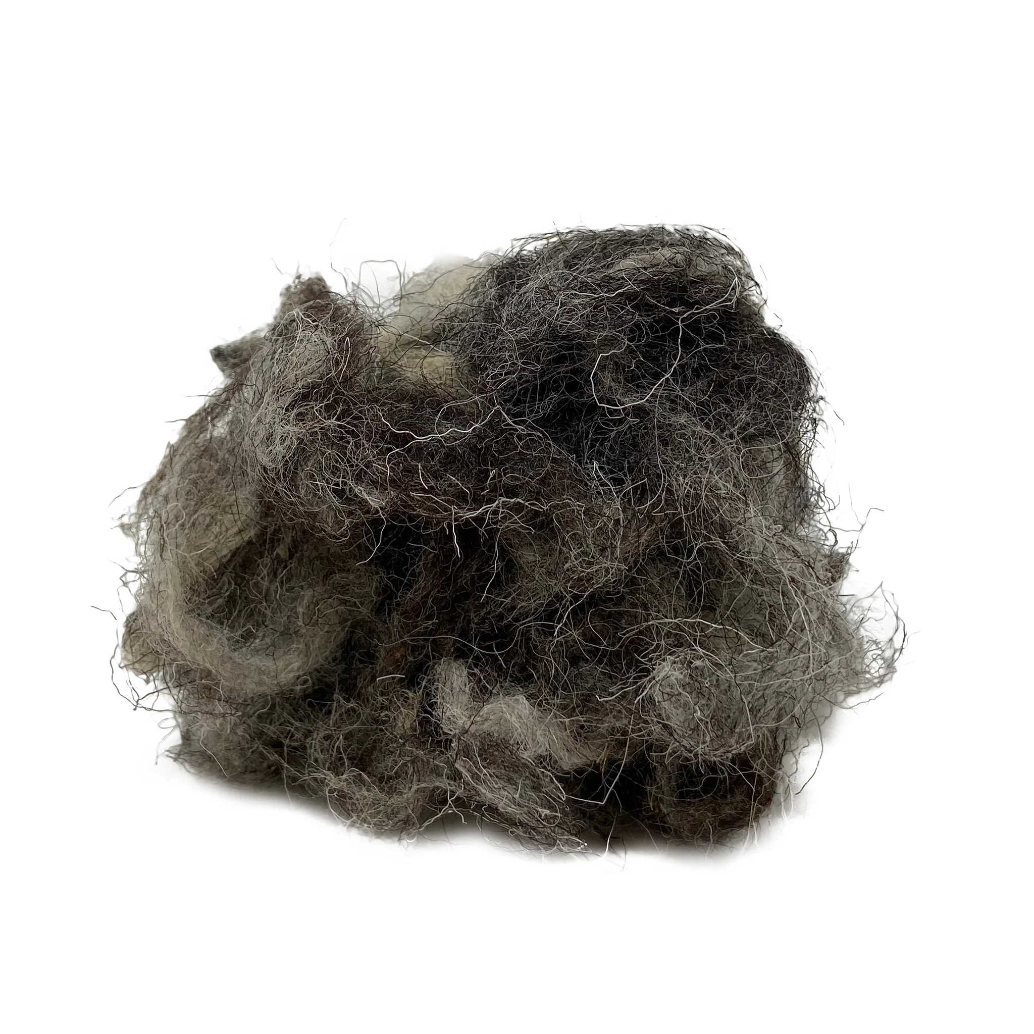 Sheep Wool Nesting Material 100g - Image 5