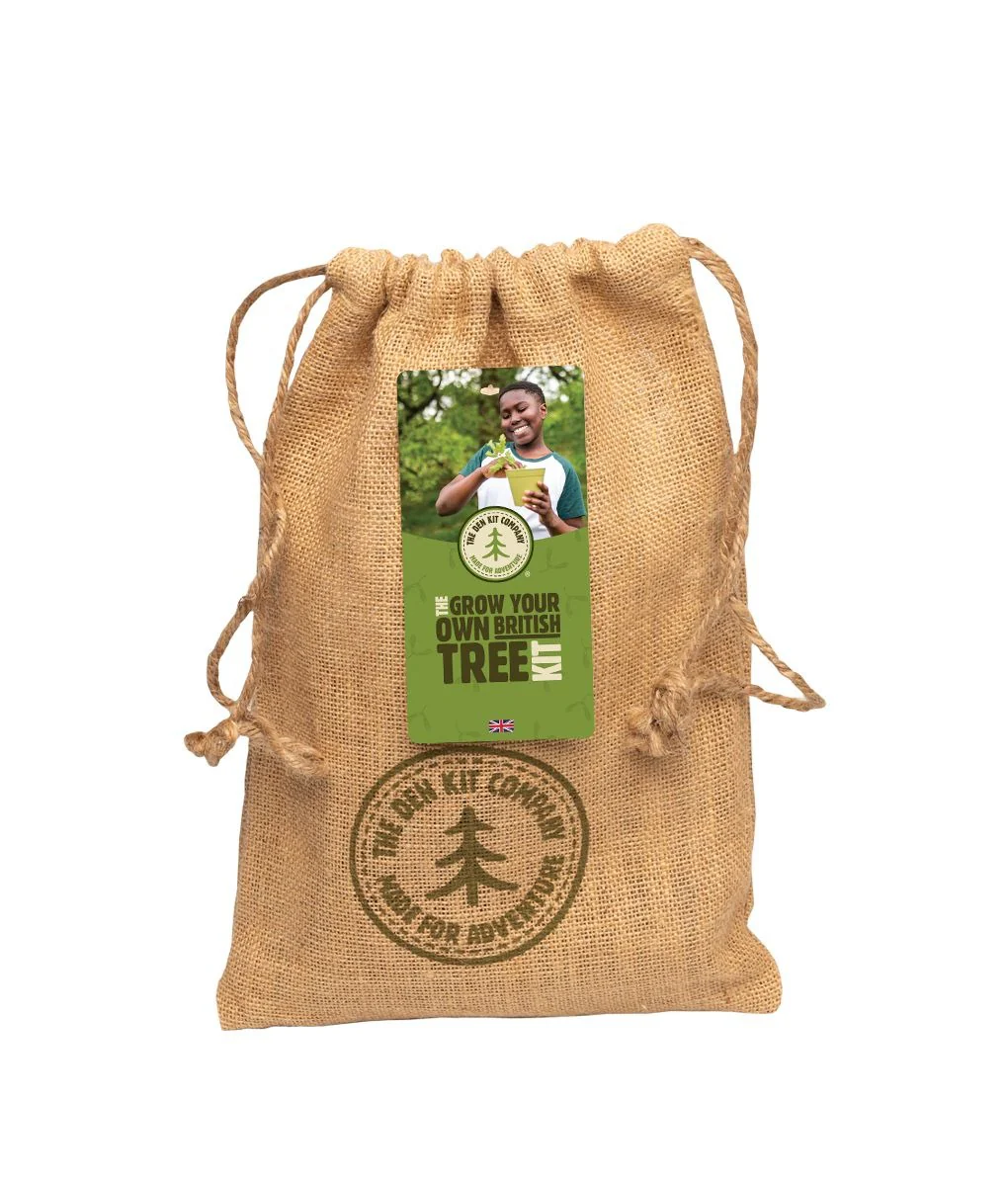The Den Kit Company Grow Your Own British Tree Kit - Image 2