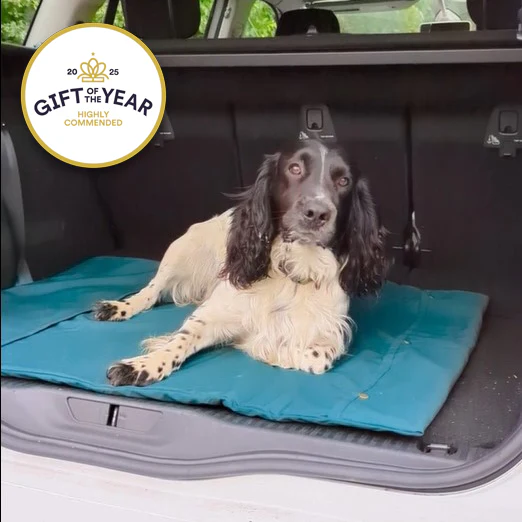 Organic fabric and wool Roll-up Travel Dog Bed - Image 4