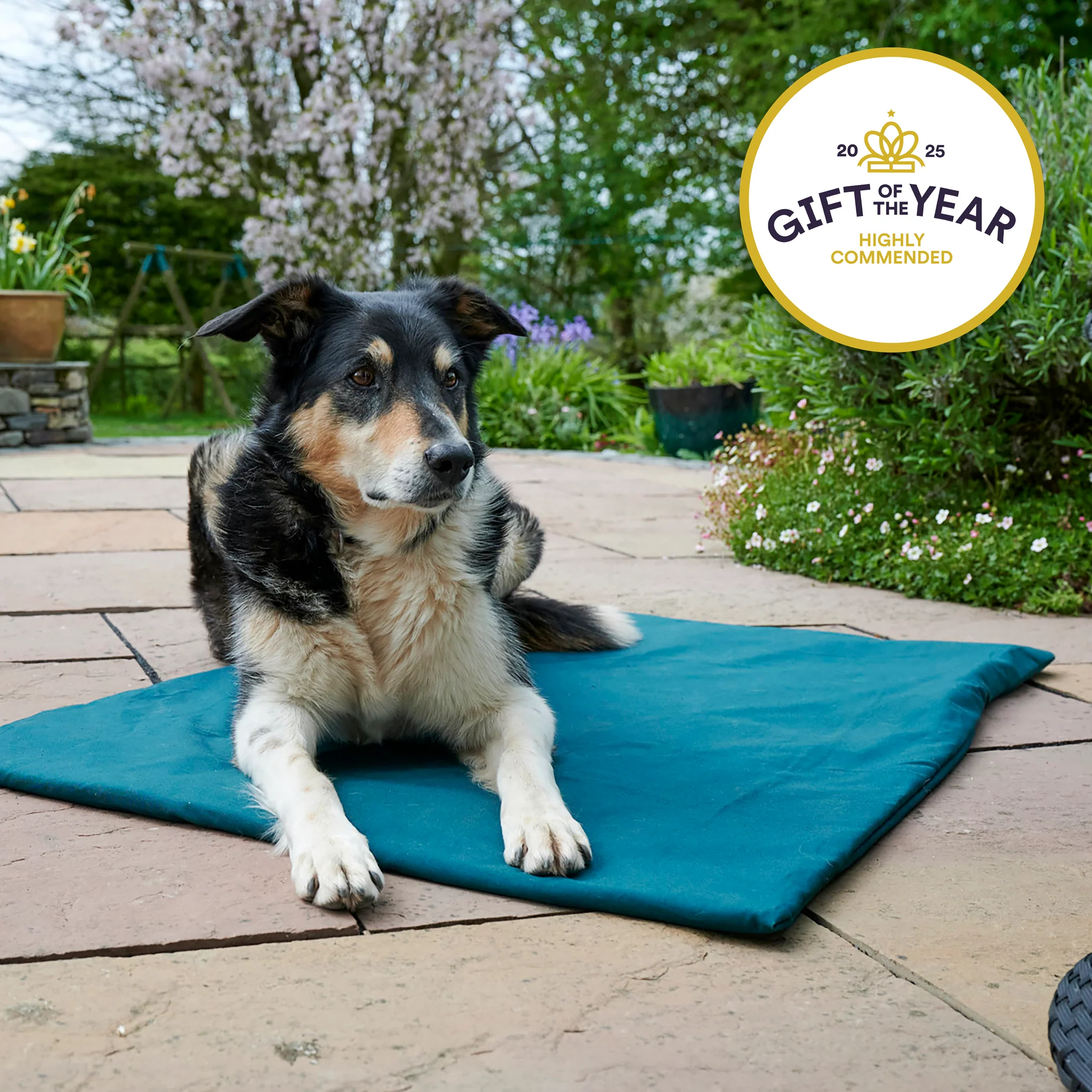 Organic fabric and wool Roll-up Travel Dog Bed - Image 5